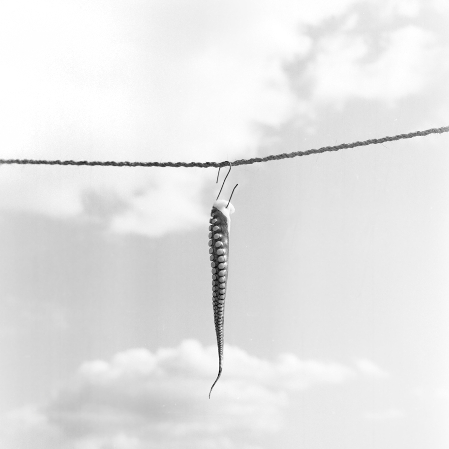 Untitled-38