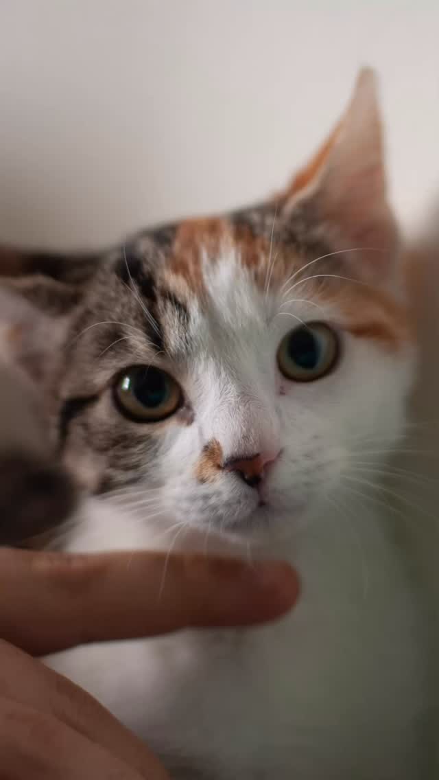 Here's to our Lily, who loved the rain. We had a lifetime.